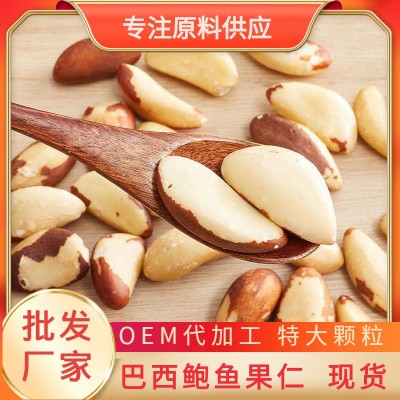 新货鲍鱼果仁原味巴西果坚果批发非新疆沙漠果仁10公斤装厂家直批