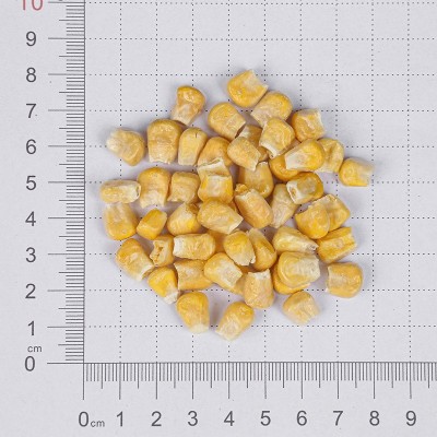 厂家供应脱水甜玉米粒FD冻干玉米碎玉米汁方便食品配料冻干玉米粒图2