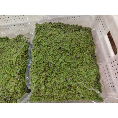 餐馆商用新鲜青花椒四川特麻特辣青花椒粒藤椒麻椒重庆江津九叶青图4