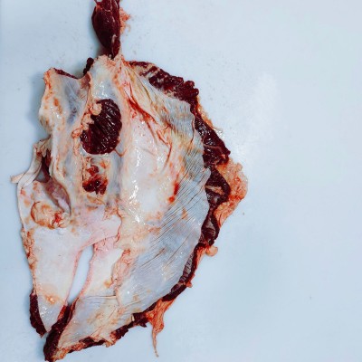 国产清真排酸肥牛系列牛胸膜肉牛罗肌肉图2