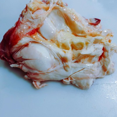 国产新鲜牛前腱清真排酸肥牛系列带筋牛窝骨牛膝盖骨图5