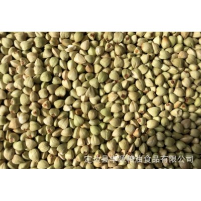厂家直销 荞麦米图4