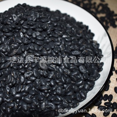 小黑豆 陕北黑豆 农家黑豆 厂家销售批发图5