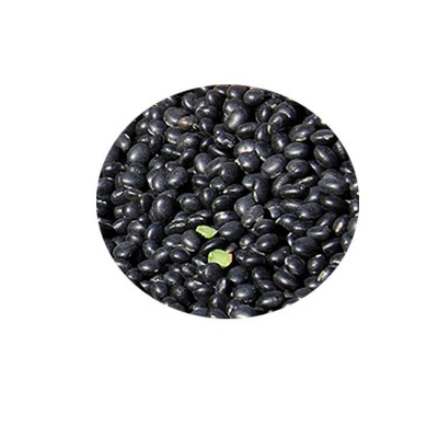 供应黑豆农家自种五谷杂粮打豆浆低温烘焙青芯大黑豆批发图5