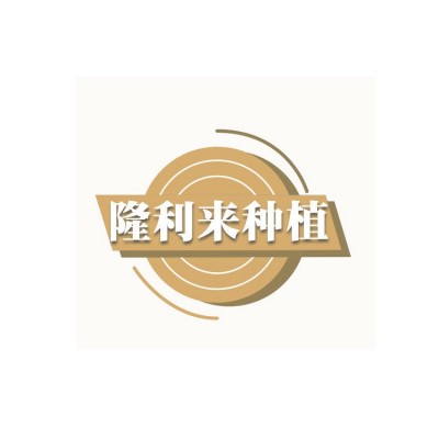 供应大豆农家自种黄豆打豆浆豆类五谷杂粮豆腐原料五谷杂粮批发图5