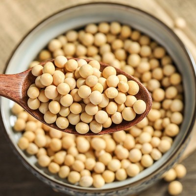 供应大豆农家自种黄豆打豆浆豆类五谷杂粮豆腐原料五谷杂粮批发图3