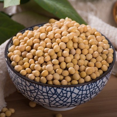 供应大豆农家自种黄豆打豆浆豆类五谷杂粮豆腐原料五谷杂粮批发图2
