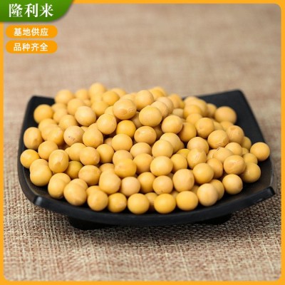 苏北淮安销售 大豆农家食用黄豆 打豆浆五谷杂粮