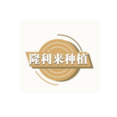 苏北淮安销售 大豆农家食用黄豆 打豆浆五谷杂粮图5