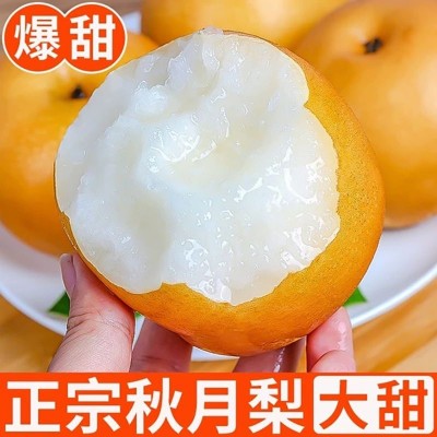 批发/一件代发山东莱阳羊脂秋月梨皮薄脆甜多汁当季新鲜时令水果