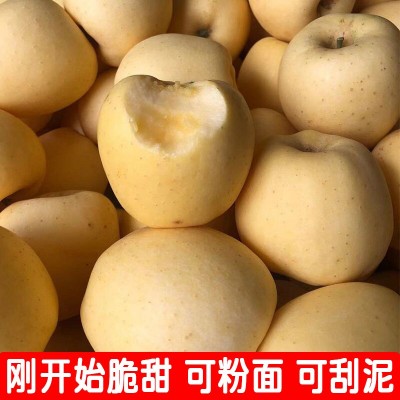 山东维纳斯黄金苹果新鲜水果当季整箱现摘奶油富士冰糖心丑苹果图2