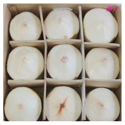去皮椰青 9个装整箱特产水果健康饮品（包邮）图3