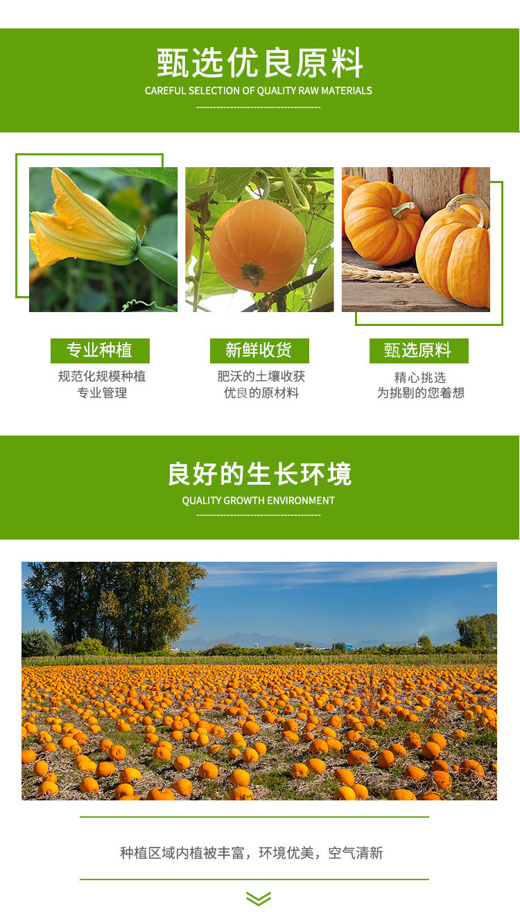 南瓜粉_02