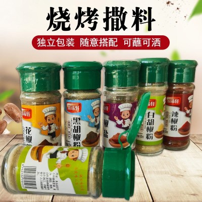 烧烤组合调料套装撒料孜然粉椒盐辣椒粉五香全套烤肉蘸料烧烤撒料图2
