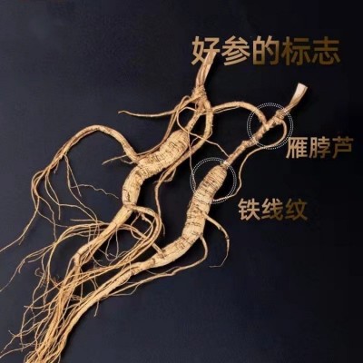 东北山参礼盒长白山5支林下参整支装高年头人参礼品送礼干货泡酒图2