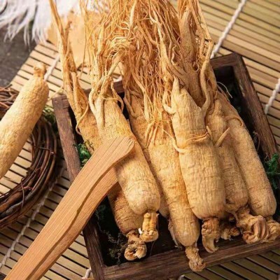 批发东北吉林长白山人参 干货圆参滋补白参整枝生晒参煲汤泡酒料图3