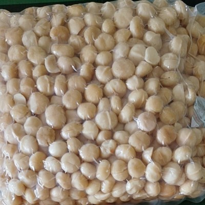 新货厂家散装批发夏威夷果仁核桃仁烘焙零食原料馅料无壳整仁碎仁