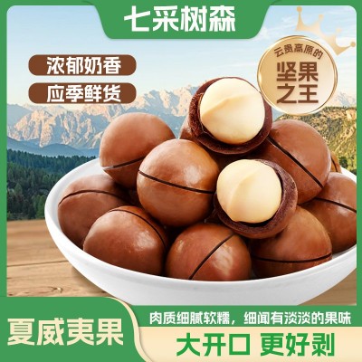 七采树森夏威夷果大颗粒办公家庭休闲零食袋装5kg薄皮手剥坚果