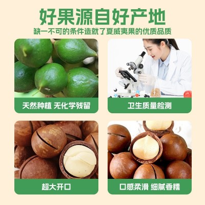 七采树森夏威夷果大颗粒办公家庭休闲零食袋装5kg薄皮手剥坚果图4