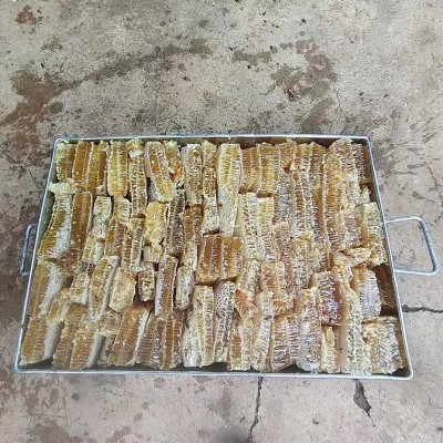 中蜂铁箱蜂巢蜜山蜂蜜百花蜜蜂巢蜜地摊展销会跑江湖产地批发图2