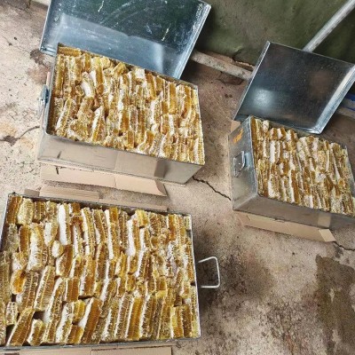 中蜂铁箱蜂巢蜜山蜂蜜百花蜜蜂巢蜜地摊展销会跑江湖产地批发图3