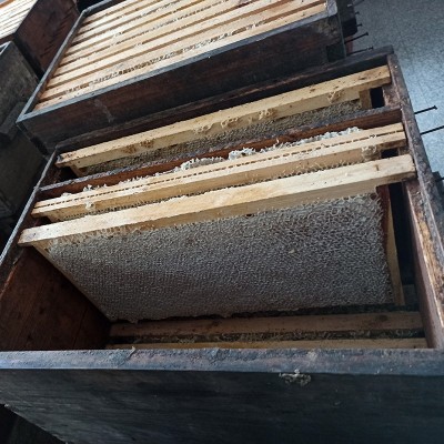 新脾整张荆条蜂巢蜜厂家批发封盖成熟蜜整脾木箱土蜂蜜图3