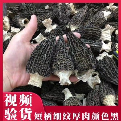 云南土特产品干货菜市场摆摊礼盒菇汤包剪柄厚肉大量 批发羊肚菌图5