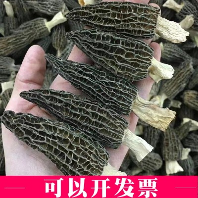 云南羊肚菌9-12一公斤批发大量新鲜剪柄食用蘑菇特产干货包装图3