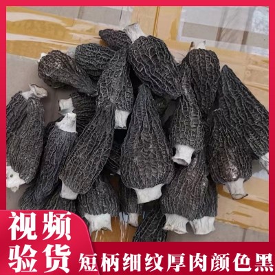 云南羊肚菌9-12一公斤批发大量新鲜剪柄食用蘑菇特产干货包装图5