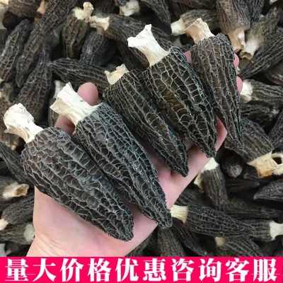 云南羊肚菌9-12一公斤批发大量新鲜剪柄食用蘑菇特产干货包装图4