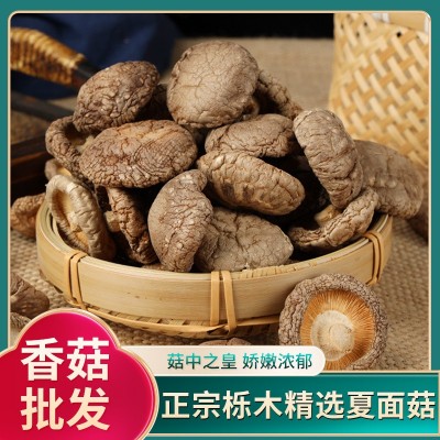 70元1斤随州特产农家干蘑菇花茹干货香菇栎木大花菇夏面菇图5