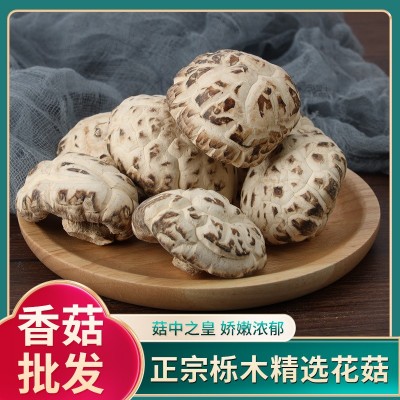 食用大花菇干货冬菇山里岗农家椴木剪脚厚香菇家用白花菇图5