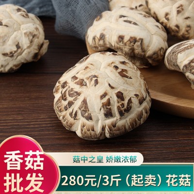 食用大花菇干货冬菇山里岗农家椴木剪脚厚香菇家用白花菇图3
