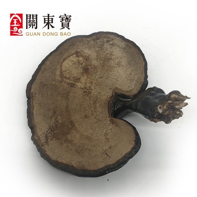 批发长白山深山黑灵芝 东北特产 整支灵芝500克/件 林芝切片一斤图3
