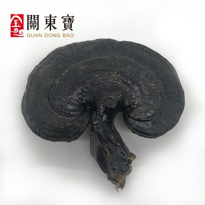 批发长白山深山黑灵芝 东北特产 整支灵芝500克/件 林芝切片一斤图4