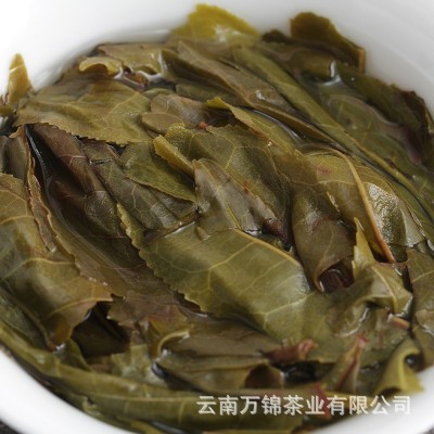 批发 普洱茶生茶    云南大树乔木七子饼茶叶357g茶饼图4