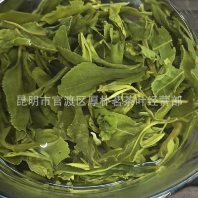 山东日照绿茶板栗香浓郁正棕绿茶高山云雾绿茶日照绿茶一件代发图5