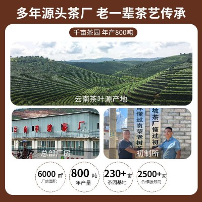 云南七子饼生茶现货357g装普洱茶生茶饼云南高山生茶茶饼厂家批发图4