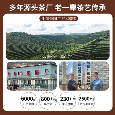 厂家现货云南普洱茶半坡舒357克大饼云南特产普洱茶生茶茶叶批发图4