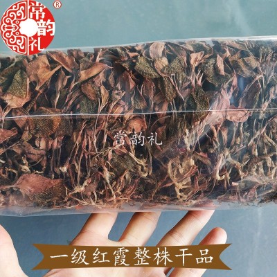 500克散装福建金线莲整株红霞干品 产地厂家漳州直供药材批发市场图4