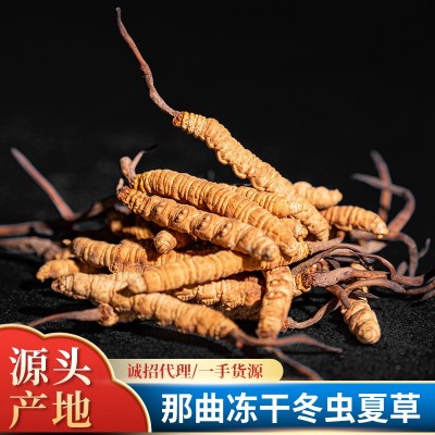 西藏那曲冻干虫草礼盒装 一手货源干货滋补品断草冬虫夏草批发