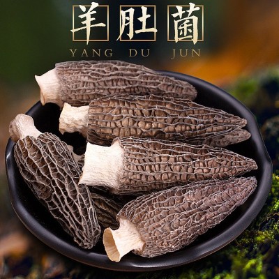 羊肚菌干货批发足干菌汤包云南特产煲汤食材营养菌菇类批发