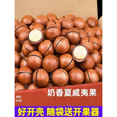 夏威夷果【代发】奶油味大颗粒坚果批发 薄皮坚果零食夏威夷果图4