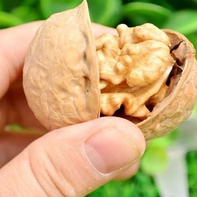 代发包邮批发新疆特产薄皮185核桃500g 手剥原味零食薄皮核桃图2