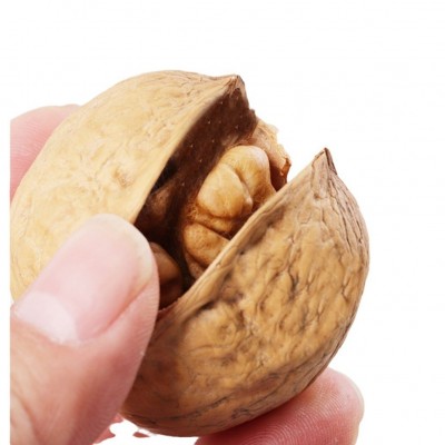 纸皮核桃500g原味干果坚果零食休闲薄皮新疆阿克苏 包邮图4