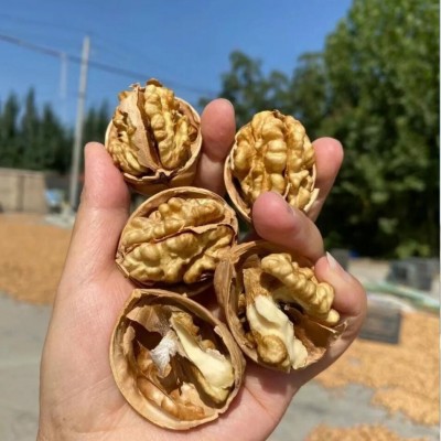 新疆特产纸皮核桃500g薄皮核桃每日坚果干果果仁休闲零食 包邮图2
