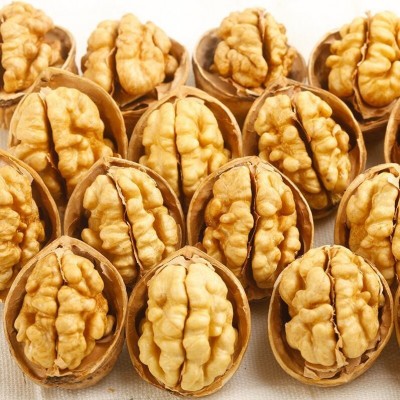 新疆185核桃 纸皮核桃批发 原产地大货供应电商坚果批发图1