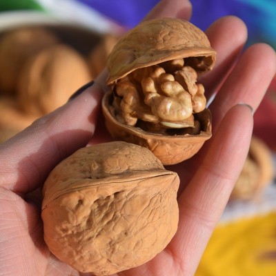 新疆185核桃 纸皮核桃批发 原产地大货供应电商坚果批发图3
