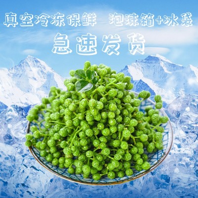 碧元珠重庆江津特产九叶青保鲜花椒350g工厂直供藤椒麻椒青花椒粒图2