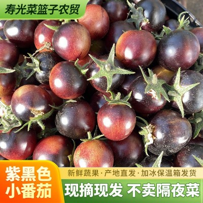 紫黑色小番茄新鲜现摘现发山东花青素果蔬爆汁酸甜可口包邮3斤图2